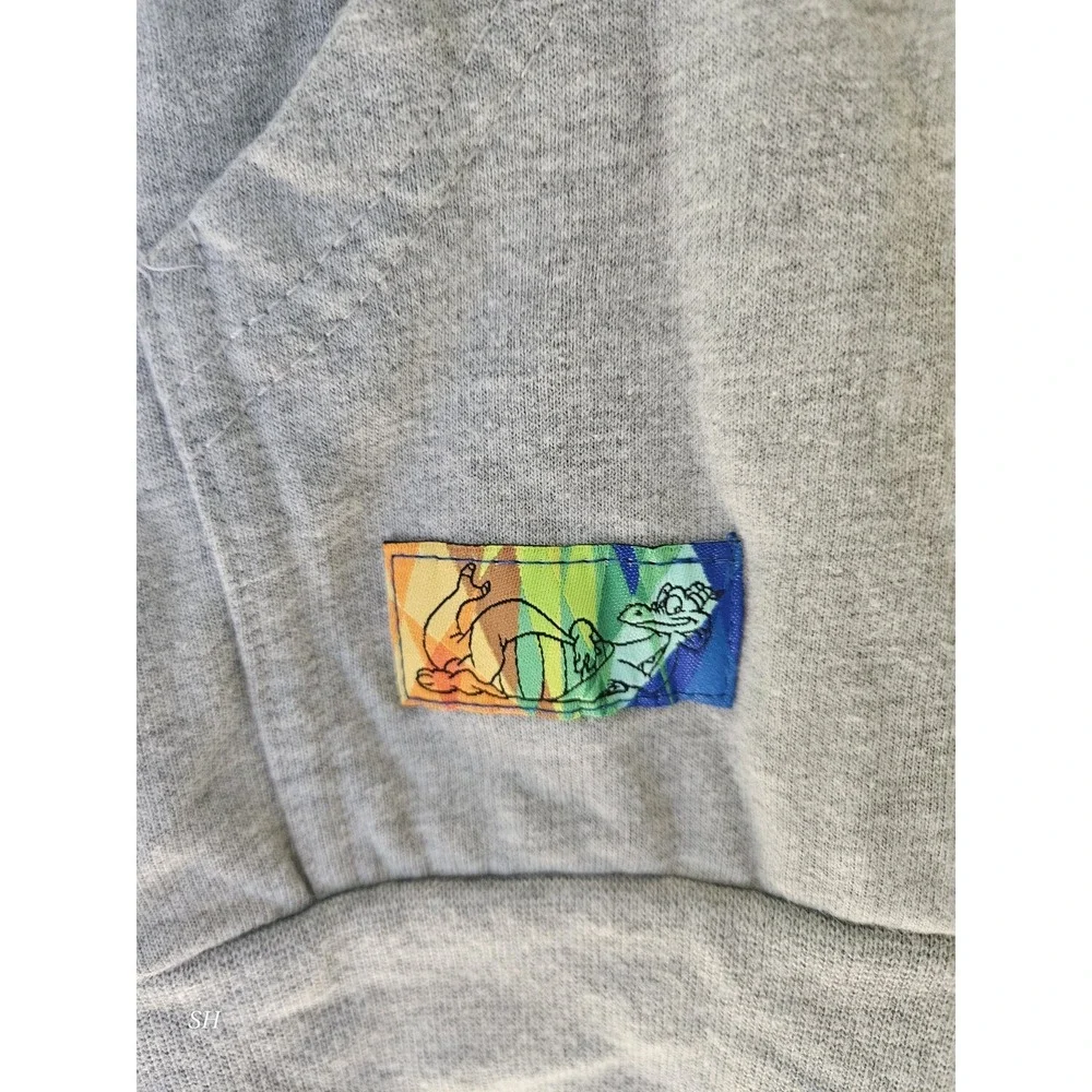 Disney EPCOT 40th Anniversary Hoodie 2022 XXL 2XL Zip Up Figment Gray Blue